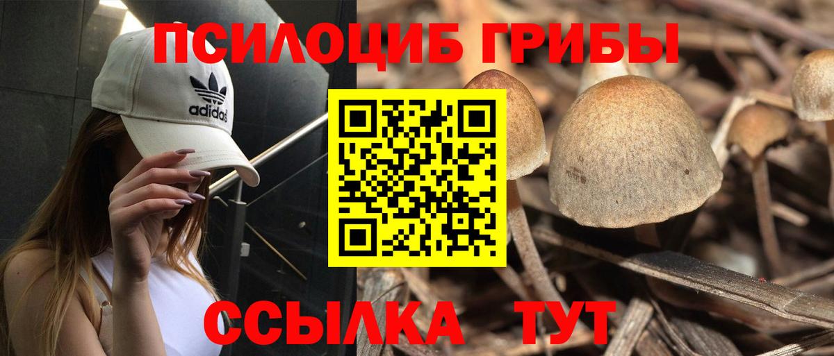 Галлюциногенные грибы MAGIC MUSHROOMS Минеральные Воды